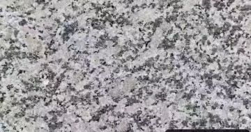 韶关 芙蓉白（芝麻白大花）火烧面