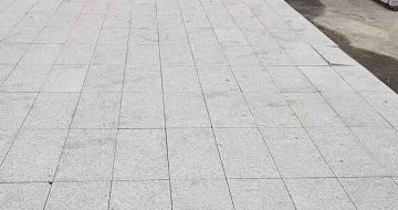 韶关芝麻白地铺案例