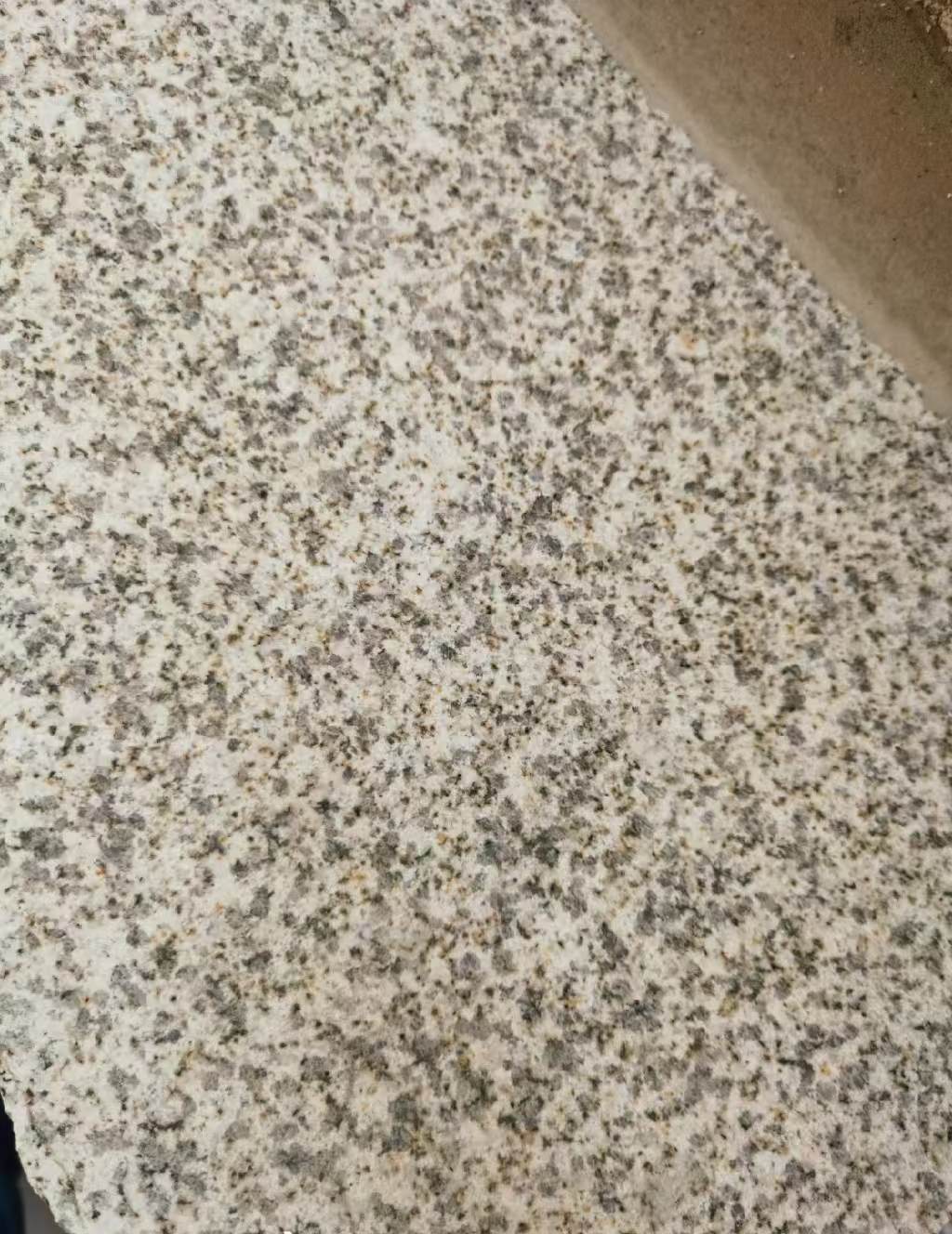 韶关 黄金麻中黄光面