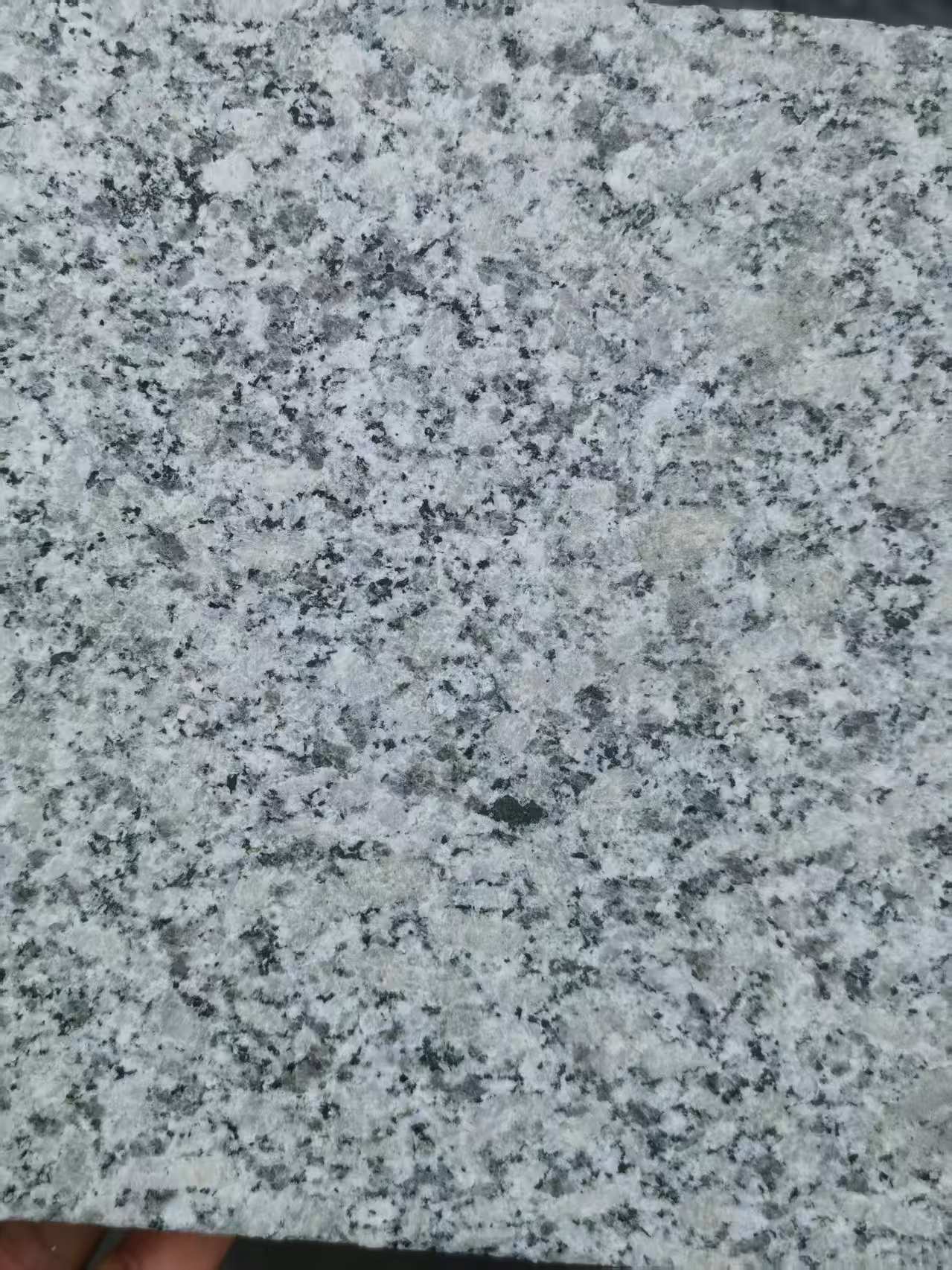 韶关 芙蓉白火烧面