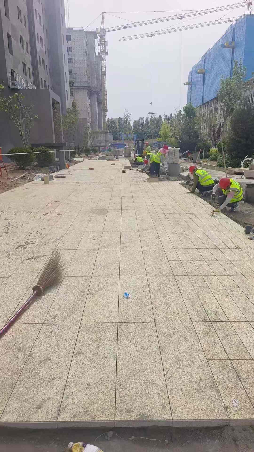 韶关黄金麻荔枝面地铺案例